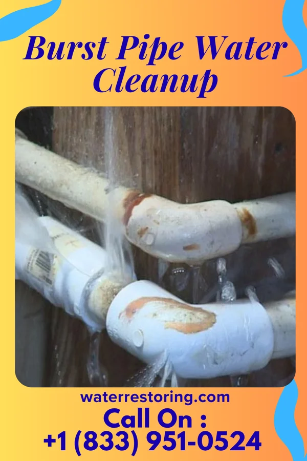 Burst Pipe Water Cleanup in Stockport, OH