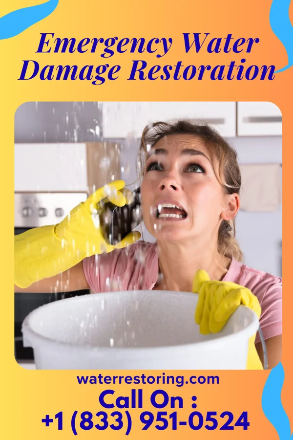 Emergency Water Damage Restoration in Stockport, OH