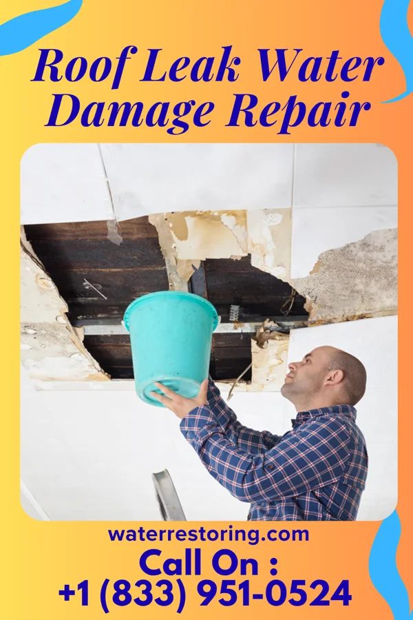 Roof Leak Water Damage Repair in Stockport, OH