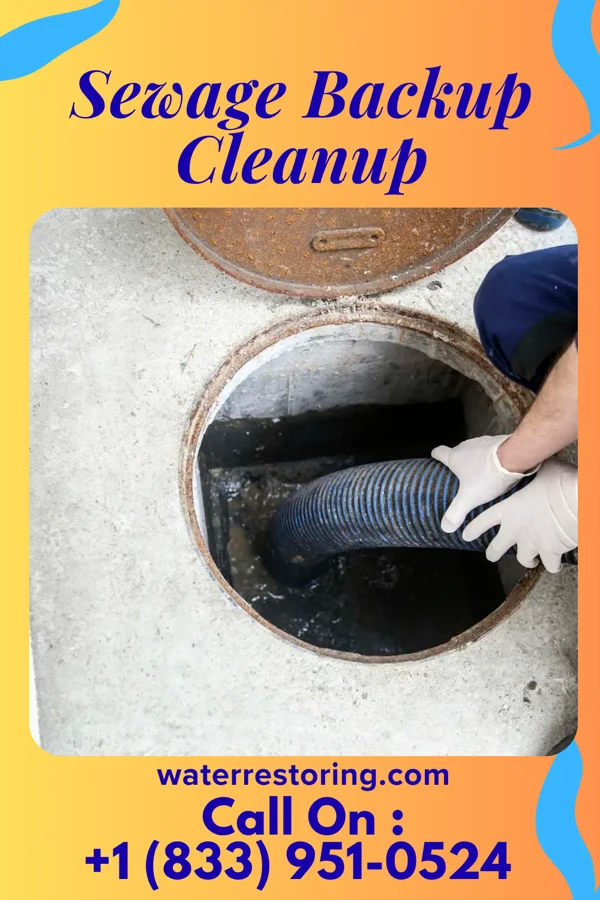 Sewage Backup Cleanup in Stockport, OH