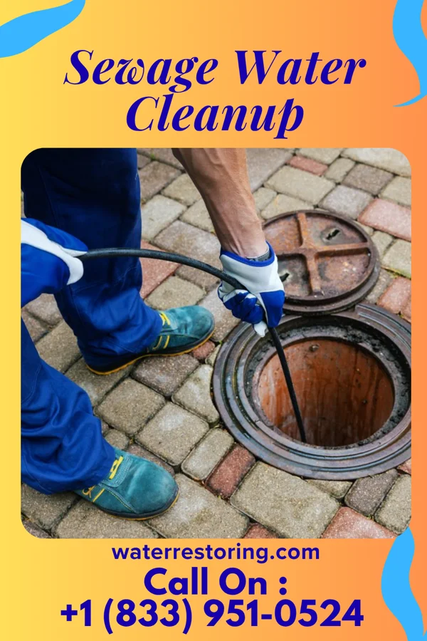 Sewage Water Cleanup in Stockport, OH