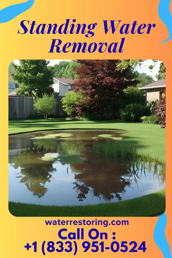 Standing Water Removal in Stockport, OH
